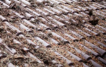 Portmore roof cleaning companies