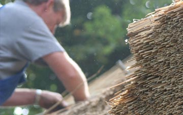 professional Portmore thatchers