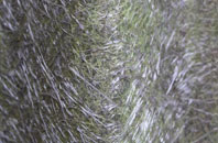 Portmore fibreglass roof work