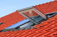 Portmore roof window